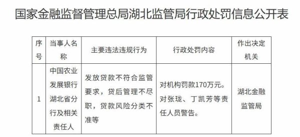 策略红 中国农业发展银行湖北省分行被罚170万元