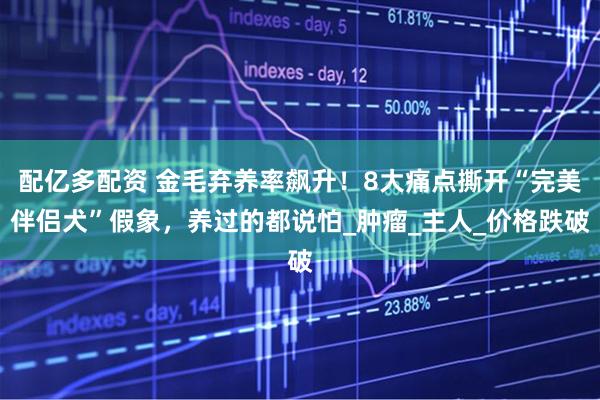 配亿多配资 金毛弃养率飙升！8大痛点撕开“完美伴侣犬”假象，养过的都说怕_肿瘤_主人_价格跌破