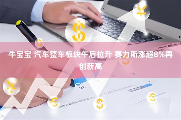 牛宝宝 汽车整车板块午后拉升 赛力斯涨超8%再创新高