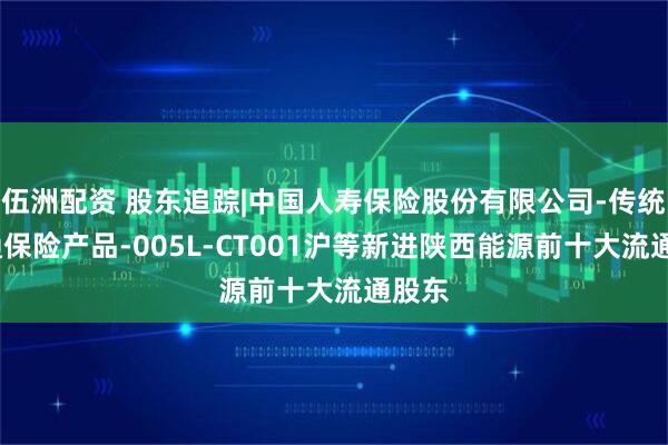 伍洲配资 股东追踪|中国人寿保险股份有限公司-传统-普通保险产品-005L-CT001沪等新进陕西能源前十大流通股东